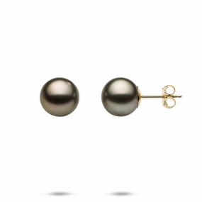 Tahitian Black Pearl Earrings in Gold - 9-10mm Vibrant Decoration