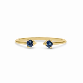 Gleaming Charm Pastel Light Double Sapphire Ring