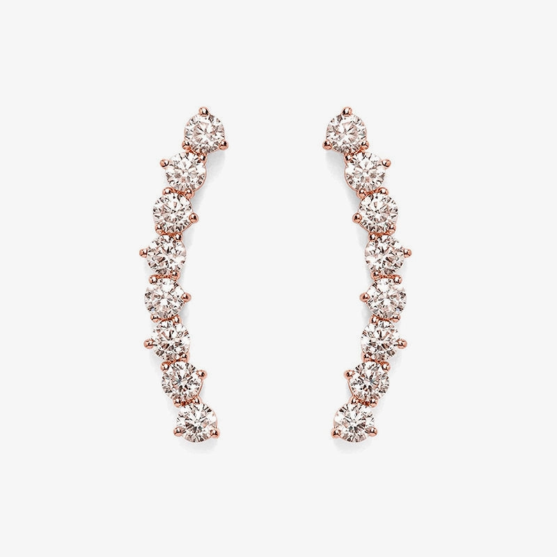 Minimal Feature festival look S925 CZ Climber Earrings For Women