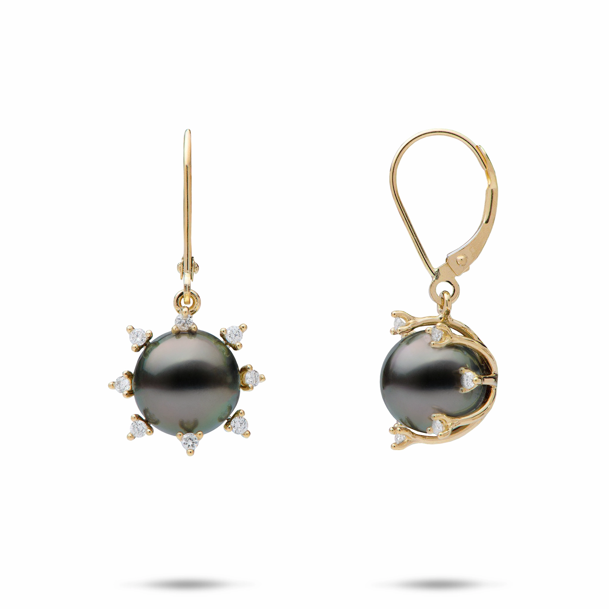 Protea Tahitian Black Pearl Earrings in Gold with Diamonds - 9-10mm Radiant Design