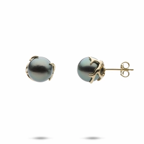 Heritage Tahitian Pearl Earrings in Gold - 9-10mm Stylish Creation Miniature Accent