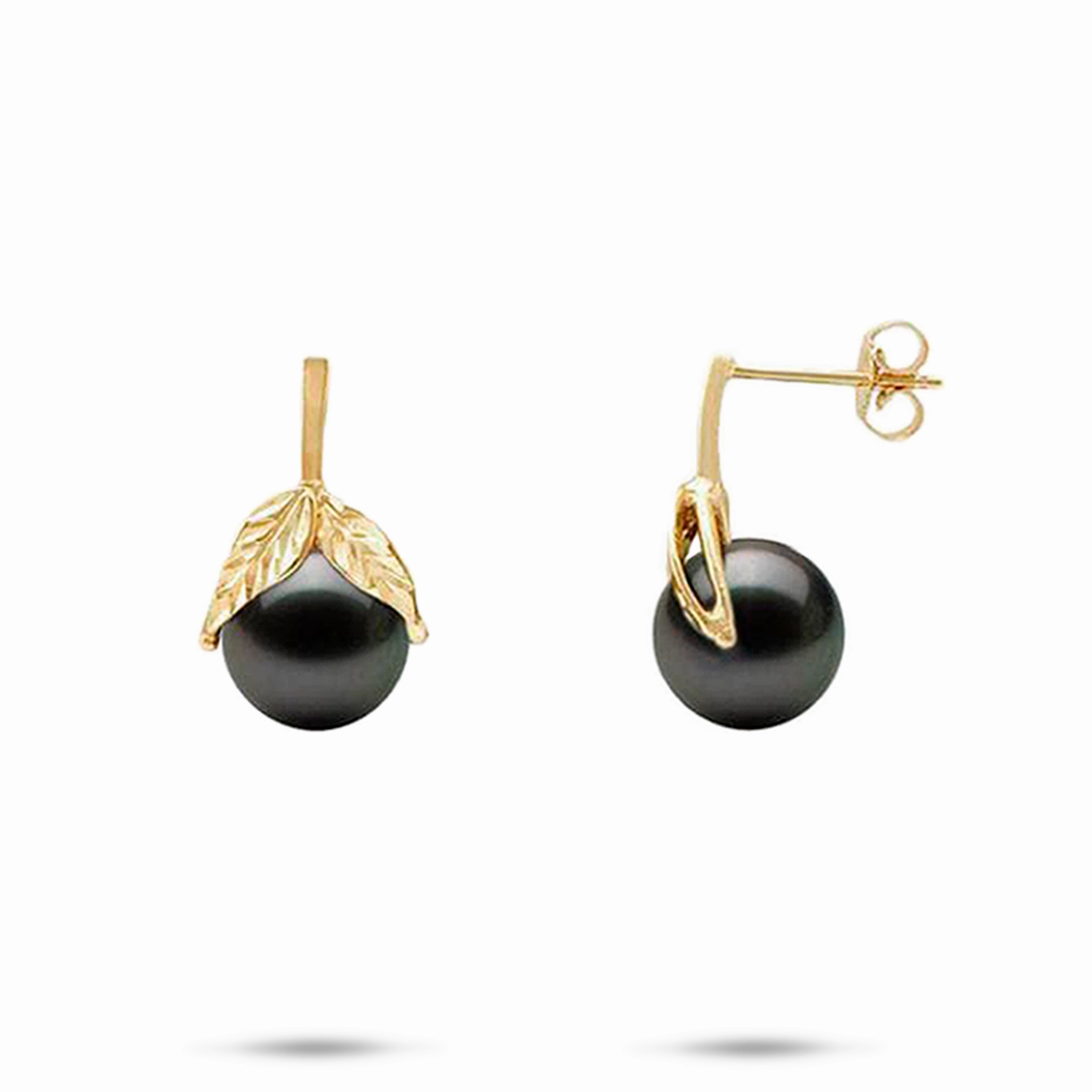 Premium Piece Premium Detail Maile Tahitian Black Pearl Earrings in Gold - 9-10mm