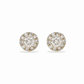 Petite Gold Diamond Halo Stud Earrings Fashionable Detail All Day Wear