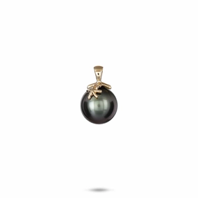Reefs Starfish Tahitian Black Pearl Pendant in Gold - 10-11mm Shiny Features Vibrant Detail