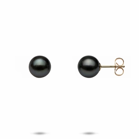 Tahitian Black Pearl Earrings in Gold - 8-9mm Secure Accent Sturdy Detail