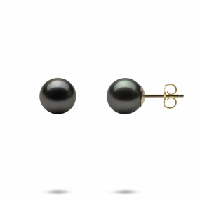 Tahitian Black Pearl Earrings in Gold - 9-10mm Polished Adornment