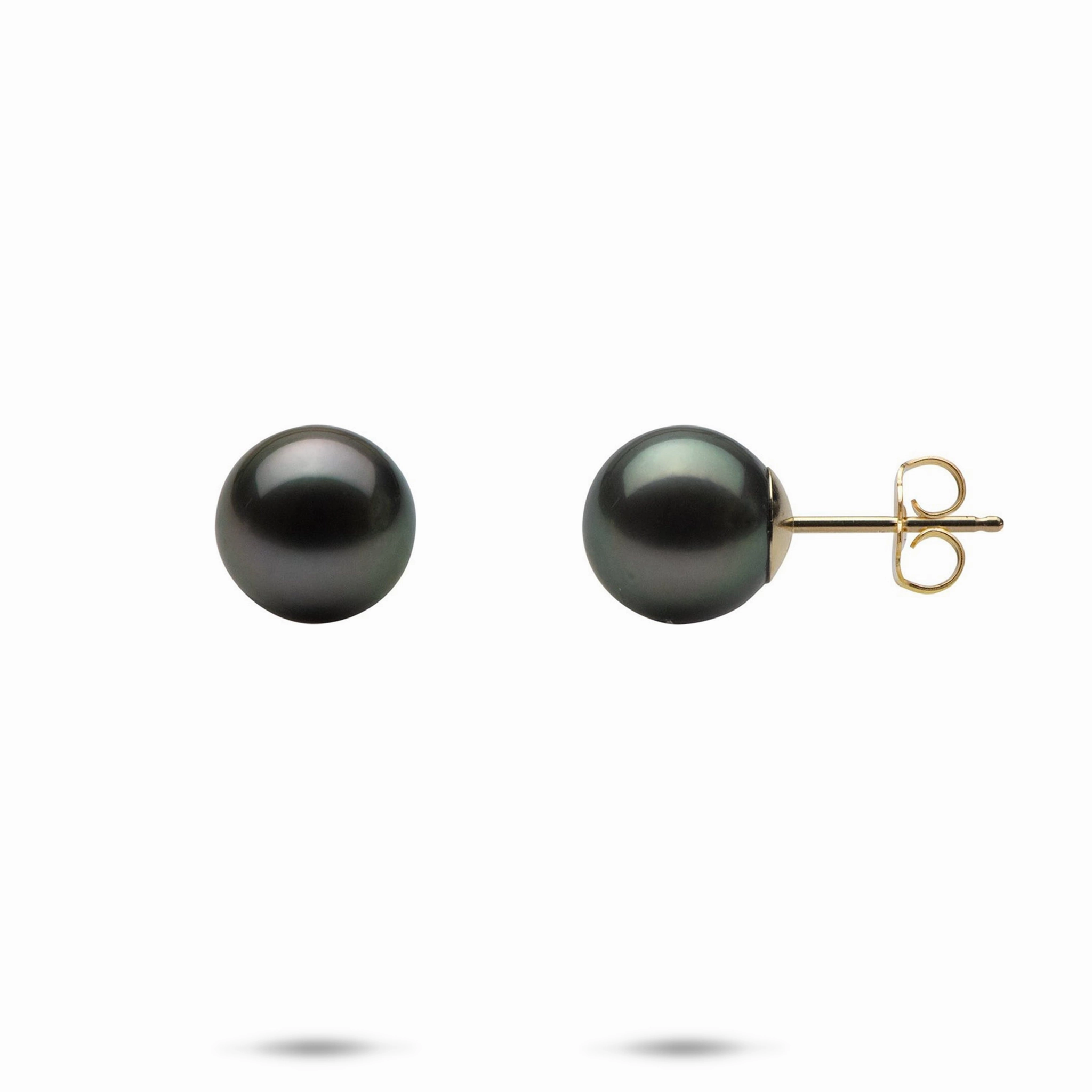 Tahitian Black Pearl Earrings in Gold - 9-10mm Polished Adornment