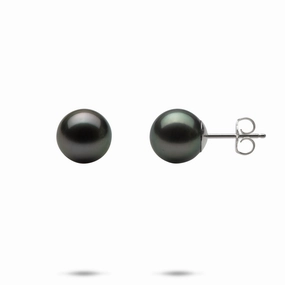 Tahitian Black Pearl Earrings in White Gold - 9-10mm Evening Trinket