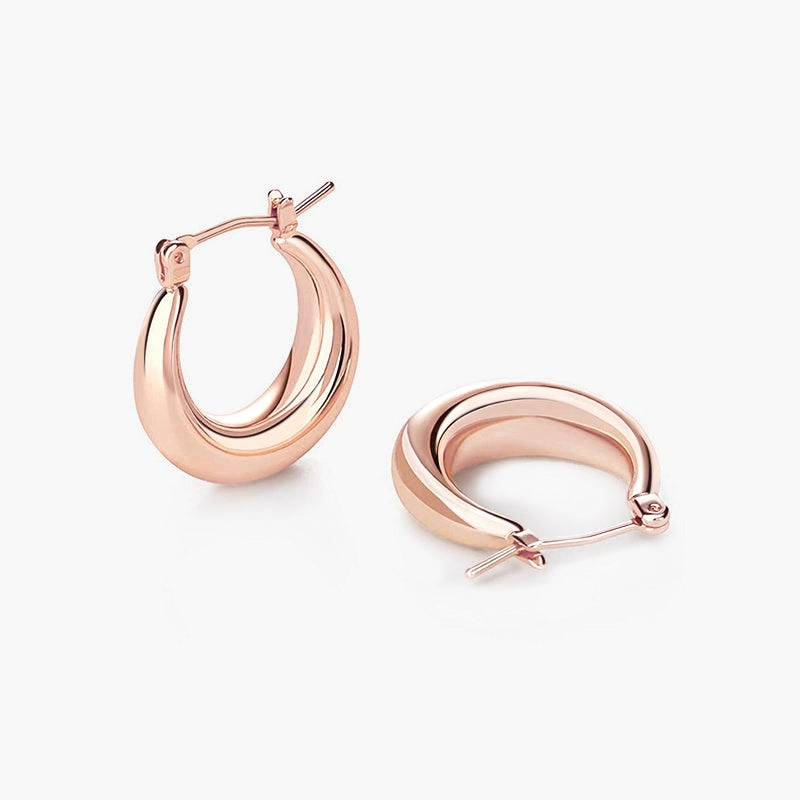 Thick Hoop Earrings For Women Modern Layer