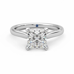 Princess Cut Moissanite Engagement Ring with Hidden Anniversary Stone and Secret Accents Radiant Pieces Finish Tasteful Accent