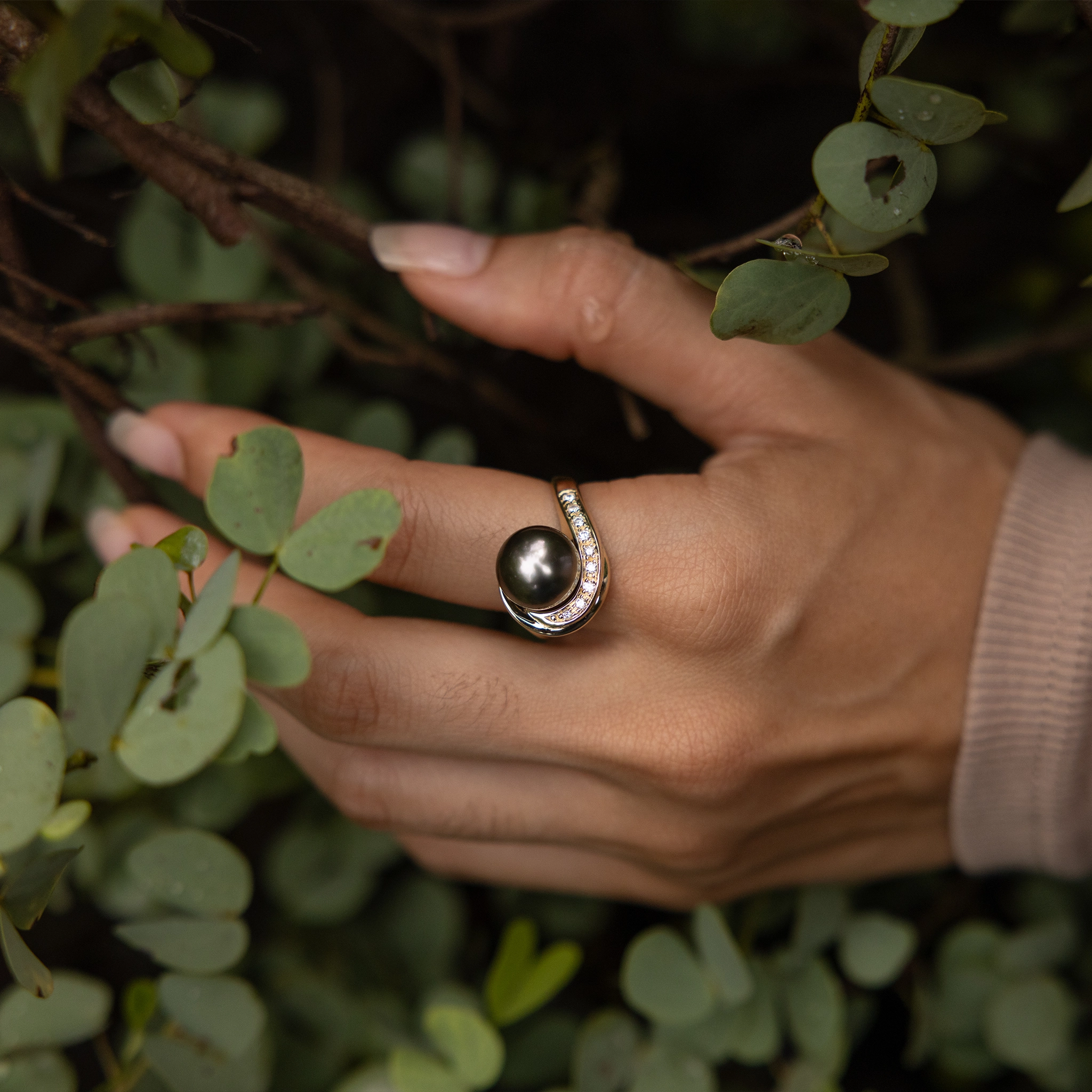Tahitian Black Pearl Ring in Gold with Diamonds - 10-11mm Romantic Article